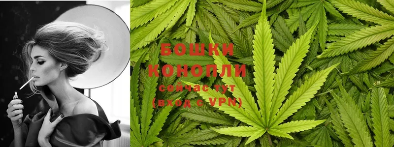 МАРИХУАНА SATIVA & INDICA  купить наркотик  Киров 